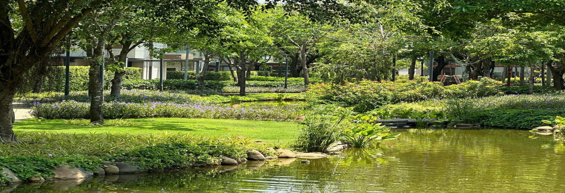 Công viên tại Swan Bay 