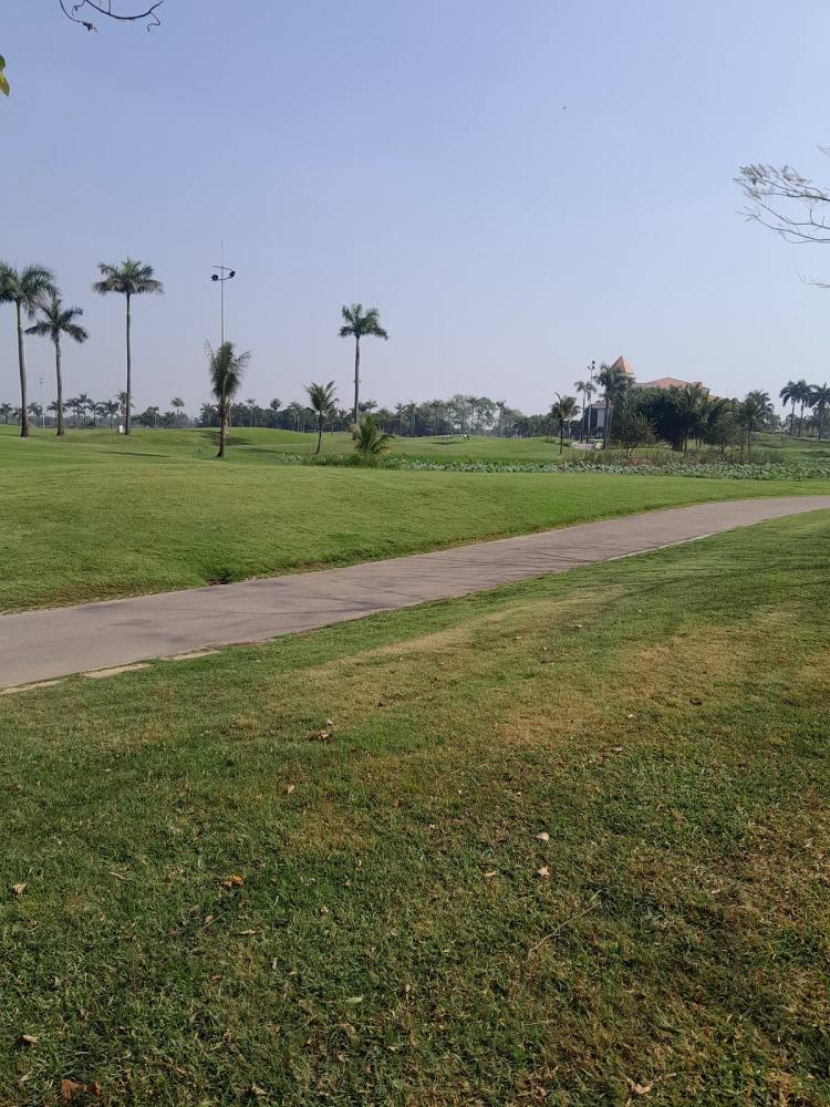 sân golf 18 lỗ của hàn quốc tại swan bay·